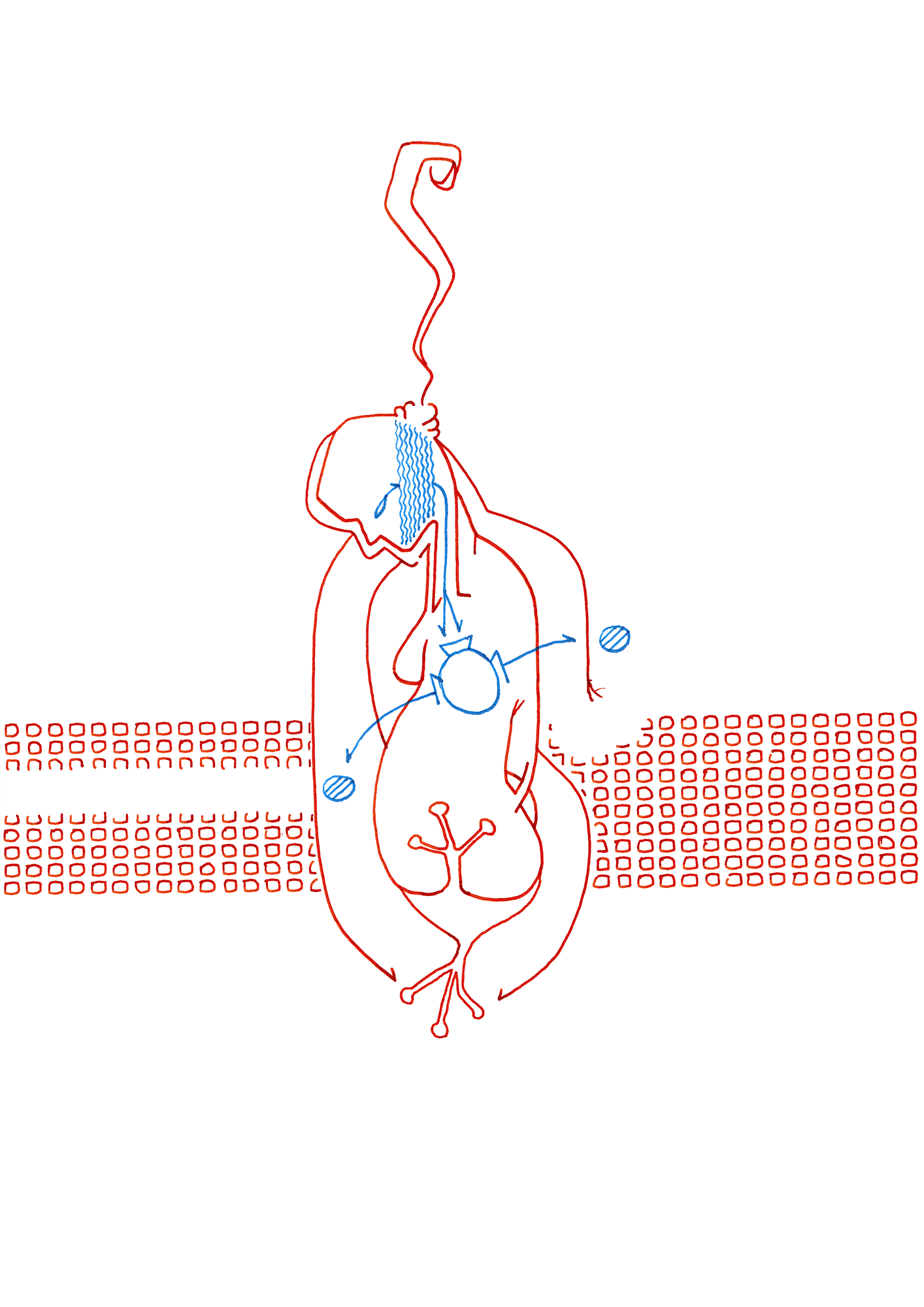 Hannes Kater – Tageszeichnung (Zeichnung/drawing) vom 27.08.2015 (1414 x 2000 Pixel)