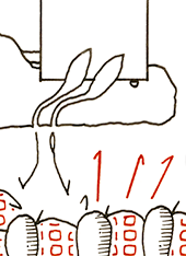 Hannes Kater  Detail einer Zeichnung, April 2026