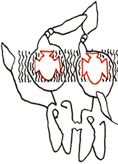 Hannes Kater – Detail einer Zeichnung aus dem November 2025